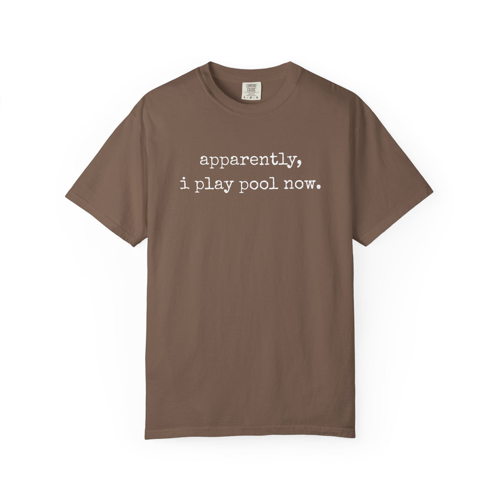 Apparently I Play Pool T-Shirt